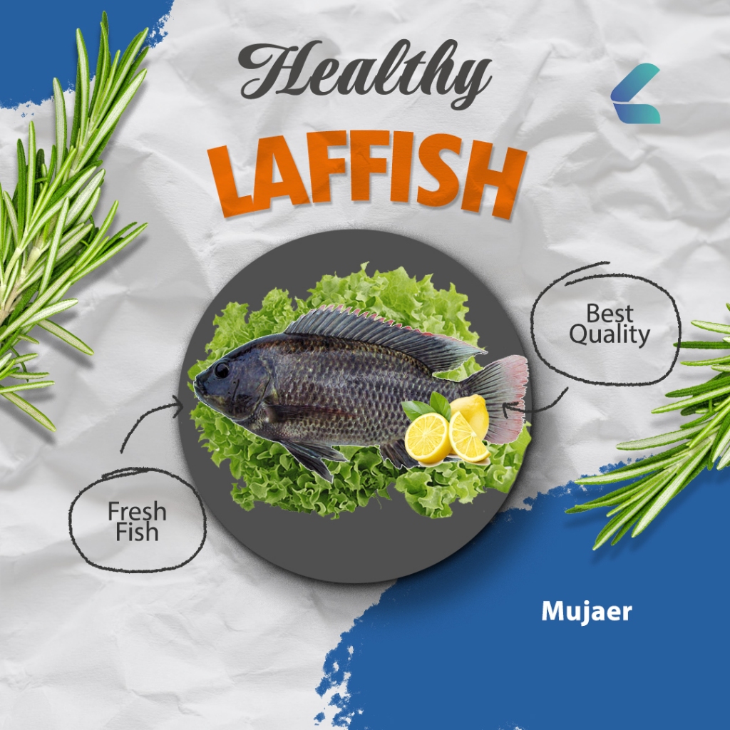 

Ikan Mujaer Fresh