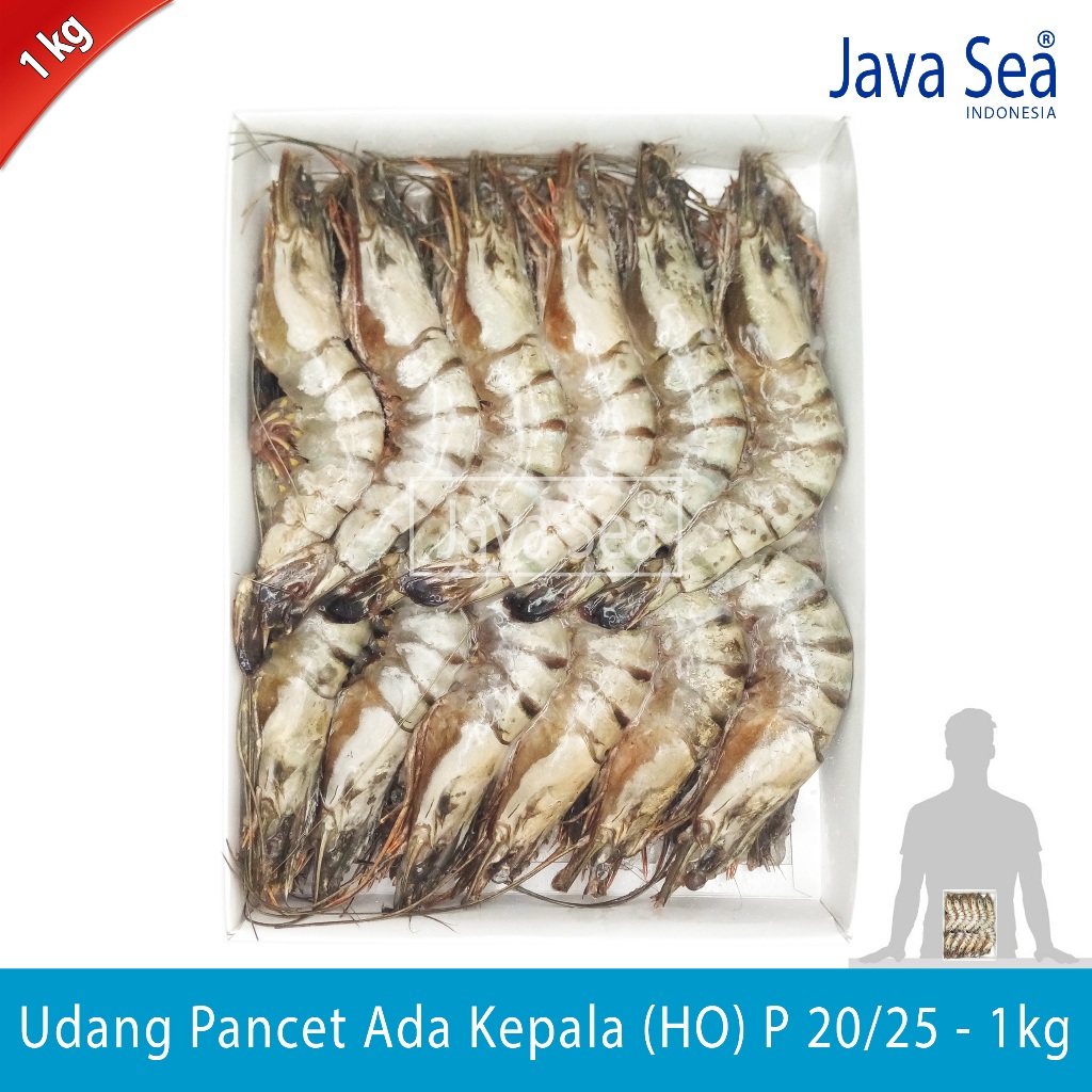 

Udang Pancet Utuh Ada Kepala HO P 20/25 pack 1kg Java Sea