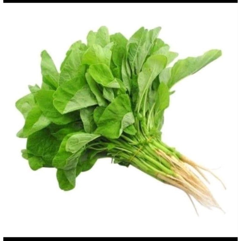 

sayur bayem segar per 3 iket