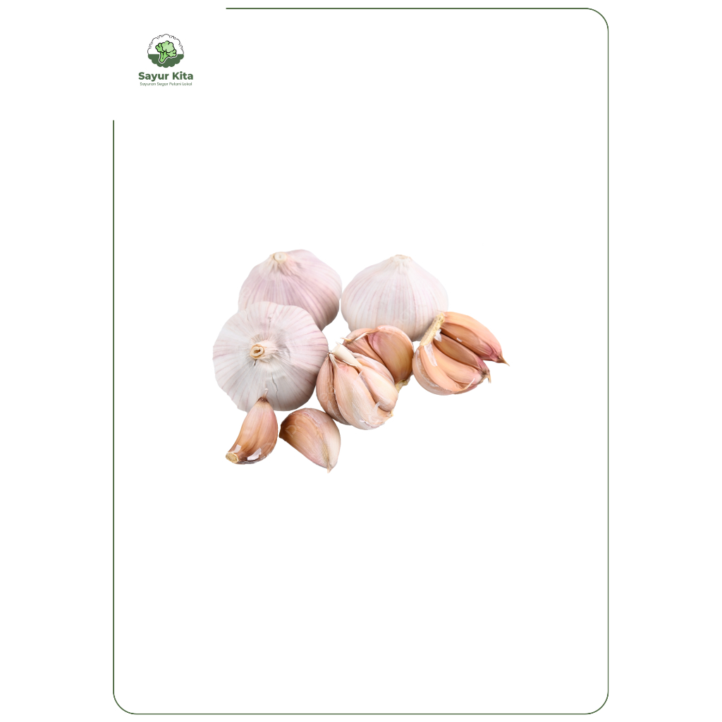 

Bawang Putih [250gr]