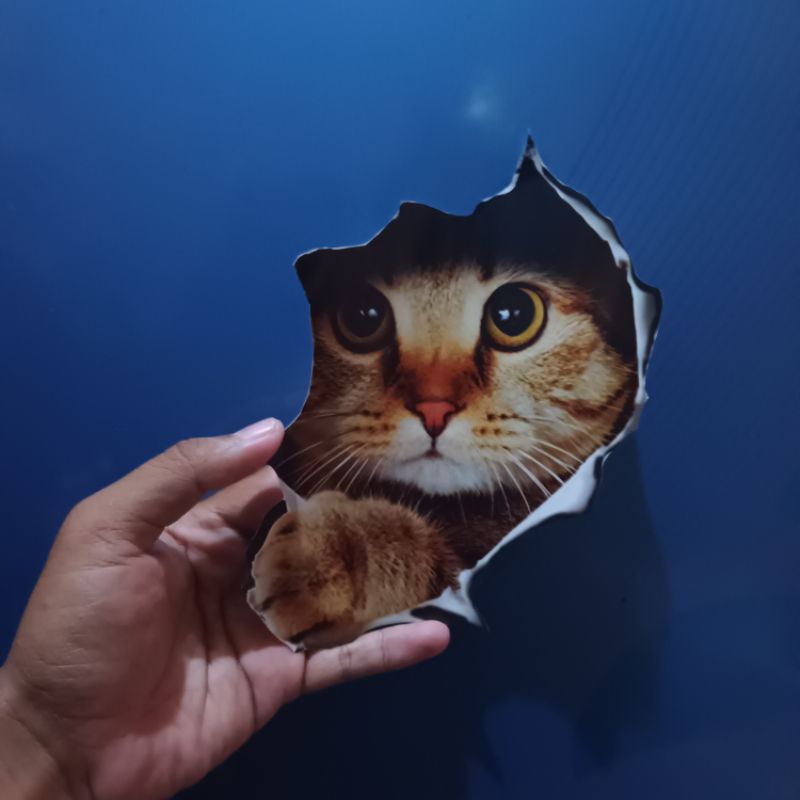 

Stiker kucing