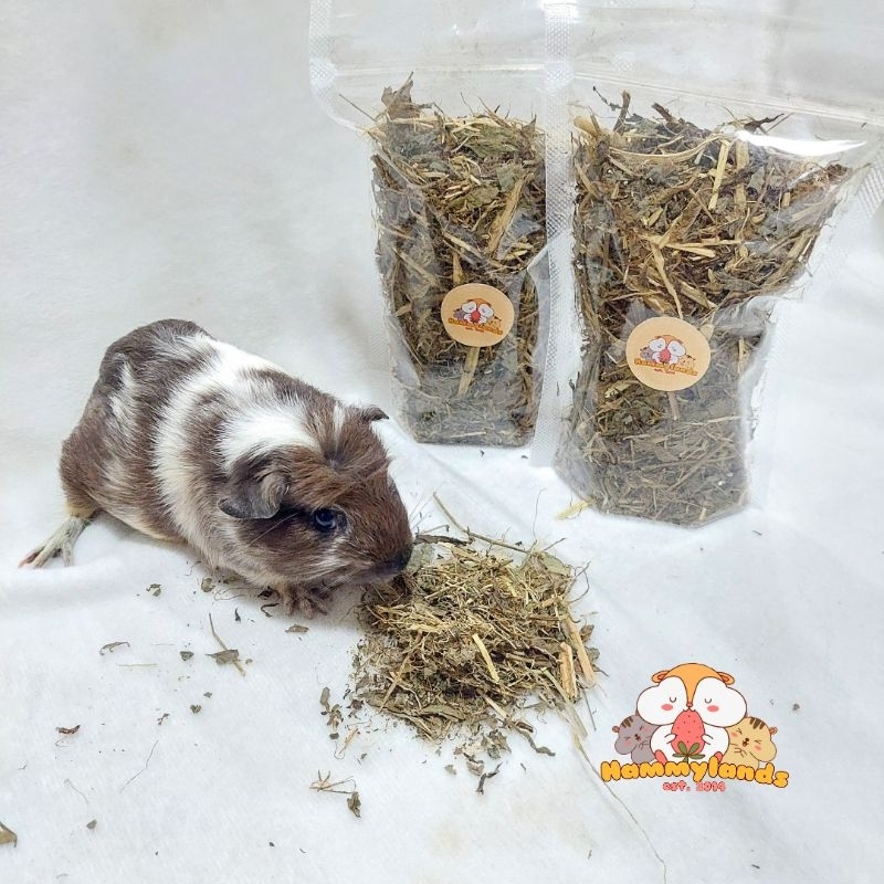 HAMMYLANDS - INDIGOFERA 50GRAM - HAY TERMURAH Camilan Kelinci Snack Kelinci Makanan Kelinci