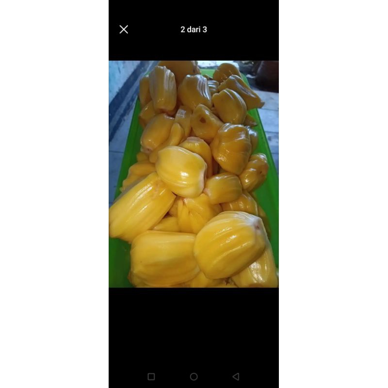 

nangka kupas kemasan 500 ml