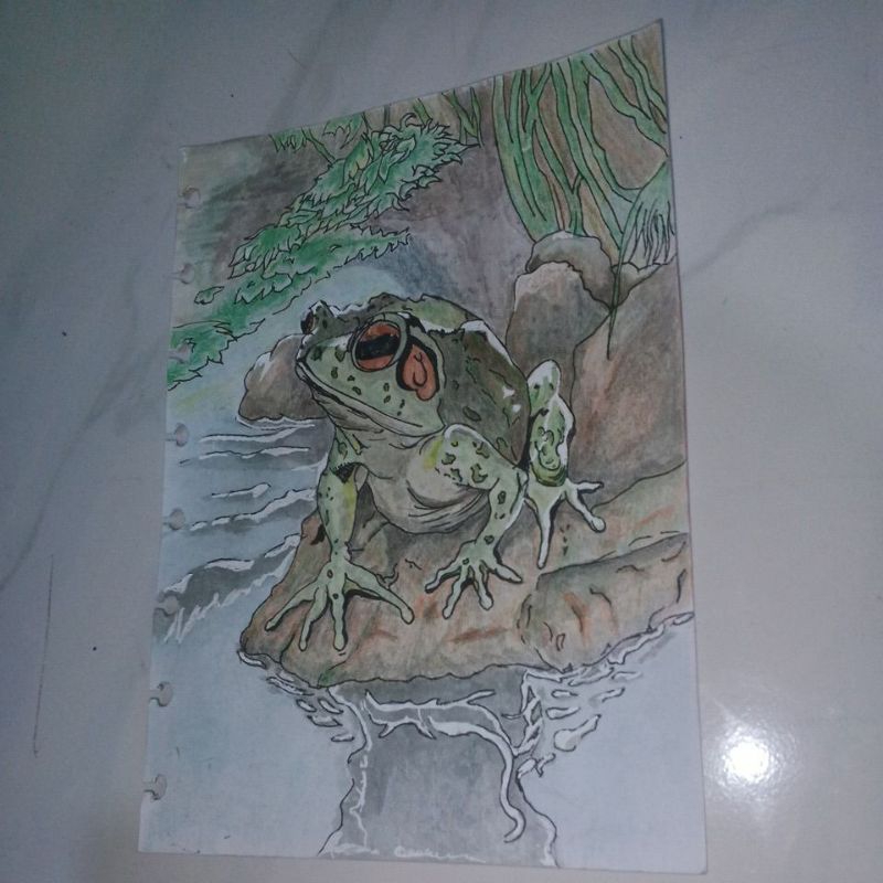 

Art lonely frog