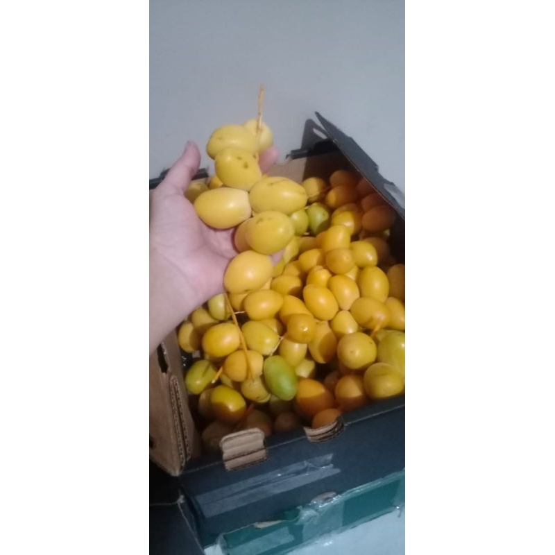 

kurma muda promil 500gram