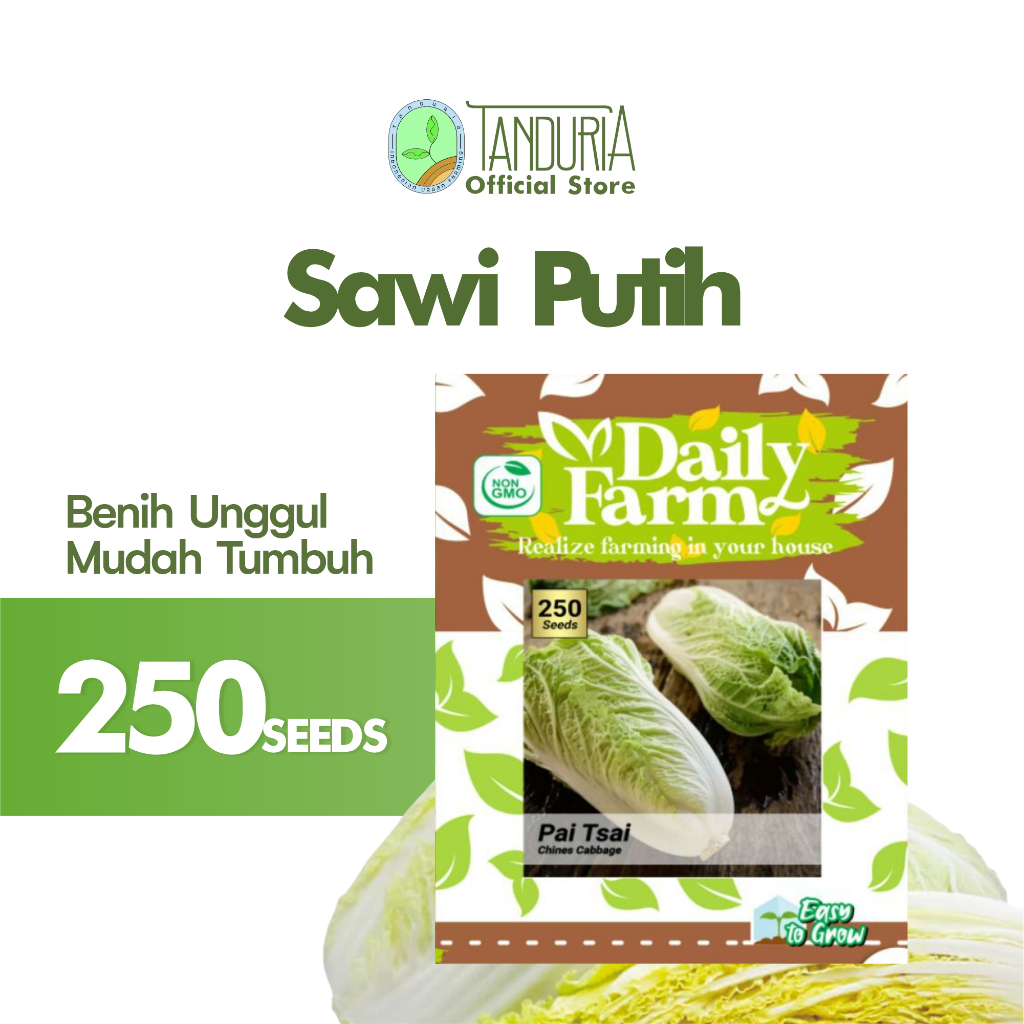 TANDURIA - Benih Sawi Putih Daily Farm Bibit Biji Sayur Sayuran Dataran Rendah Tinggi