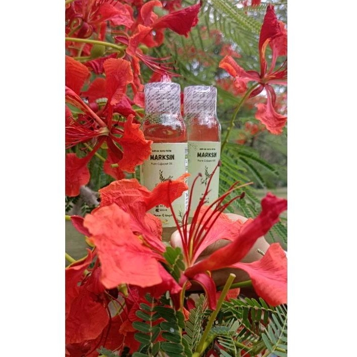 Minyak Kayu Putih Marksin 60ml (Asli Ambon)