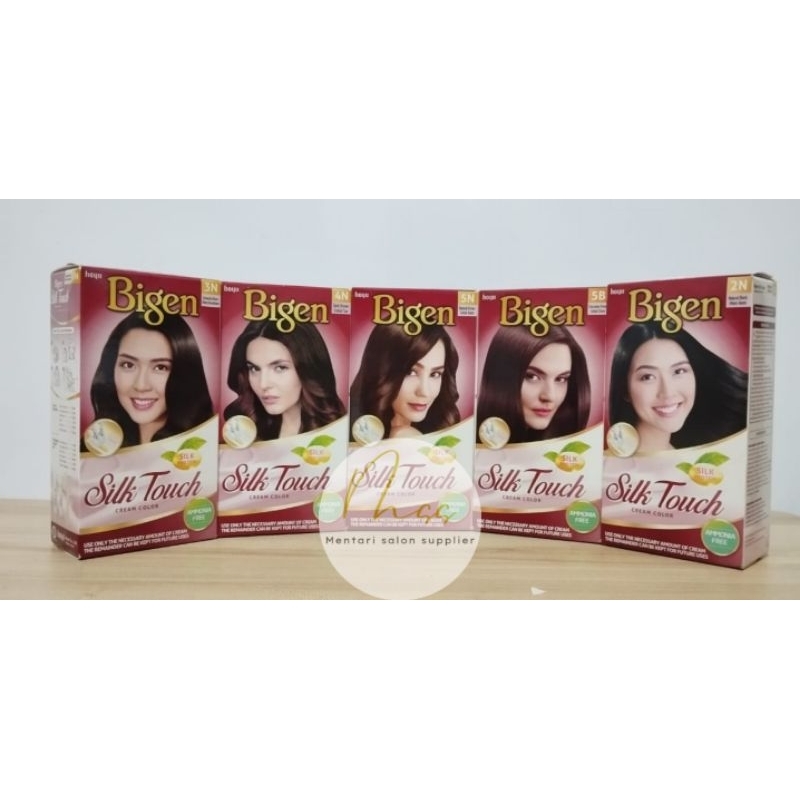 Cat Rambut Bigen Silk Touch Box Coklat