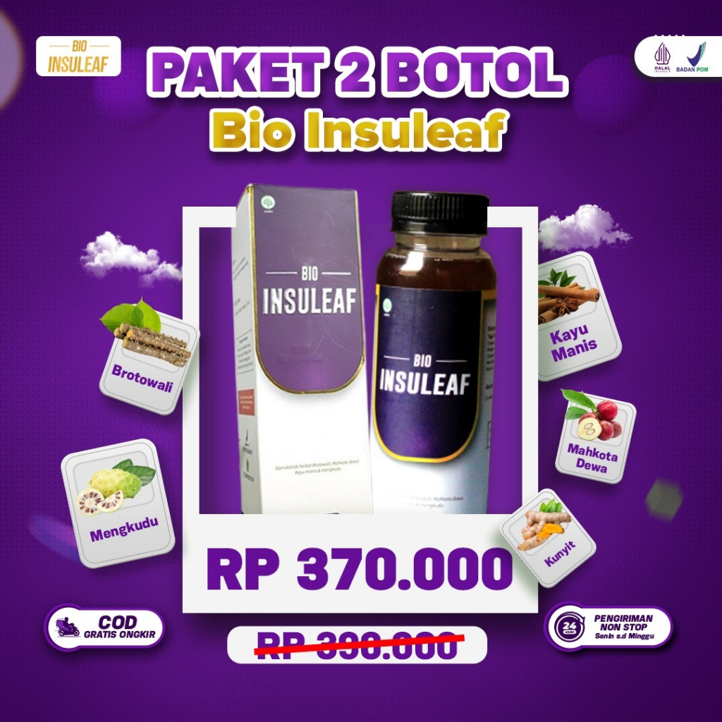Bio Insuleaf Paket 2 Botol - Bio Insuleaf Herbal Diabetes Original 2 Botol