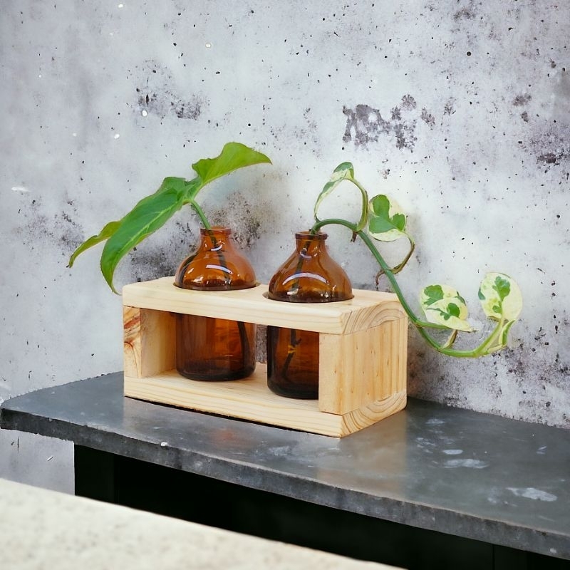 1 Set Vas Botol Amber Cover Kayu Aesthetic / Pot Planter Tanaman Air Hias Indoor / Hiasan Meja Dekor
