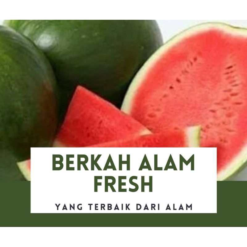 

SEMANGKA MERAH SEGAR 5.000 GRAM