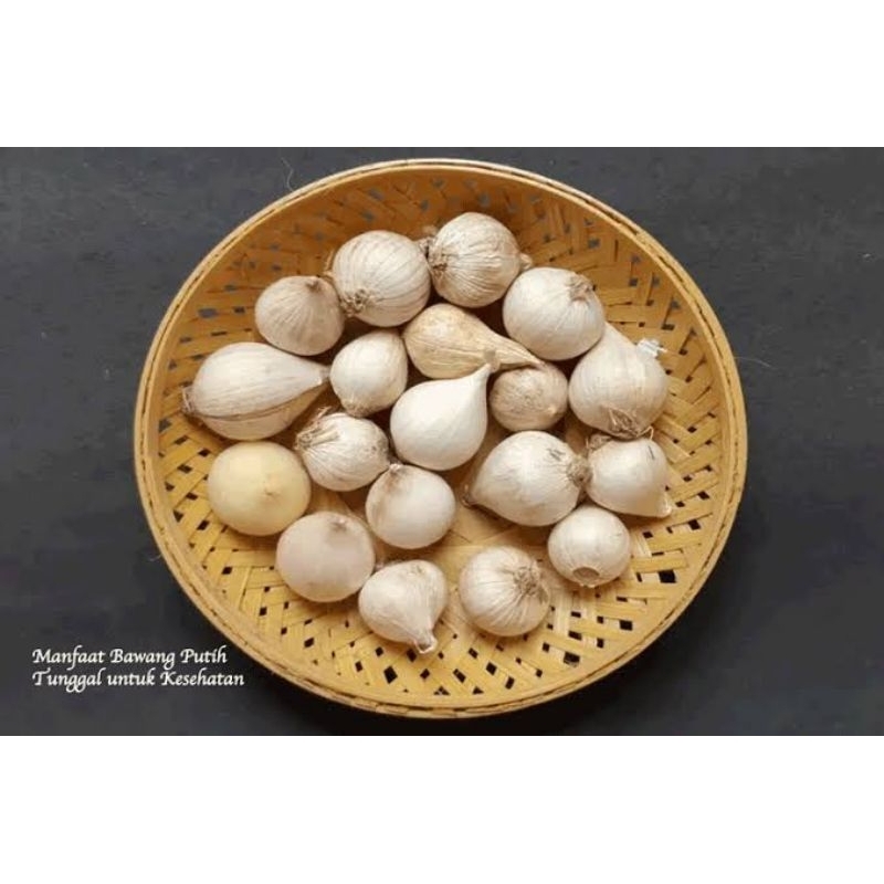 

Bawang Putih Tunggal 50 gram