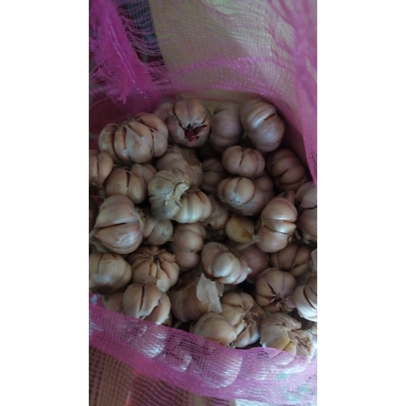 bawang putih 1 kg
