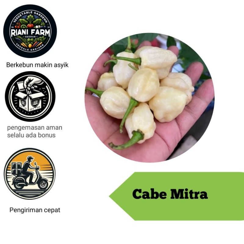 

Cabe Mitra