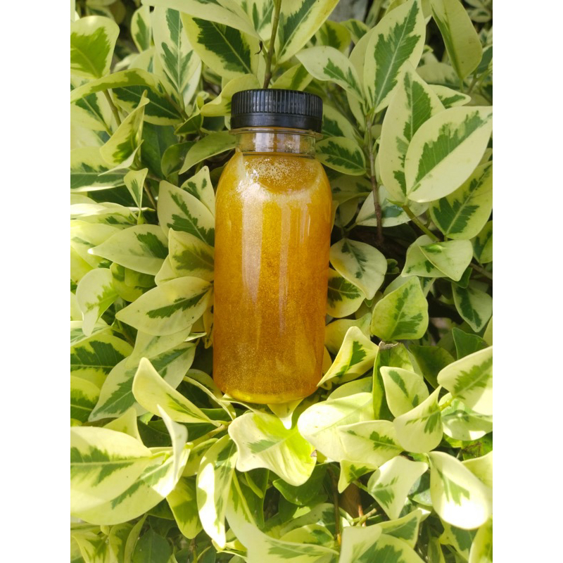 

madu hutal liar/dorsata
