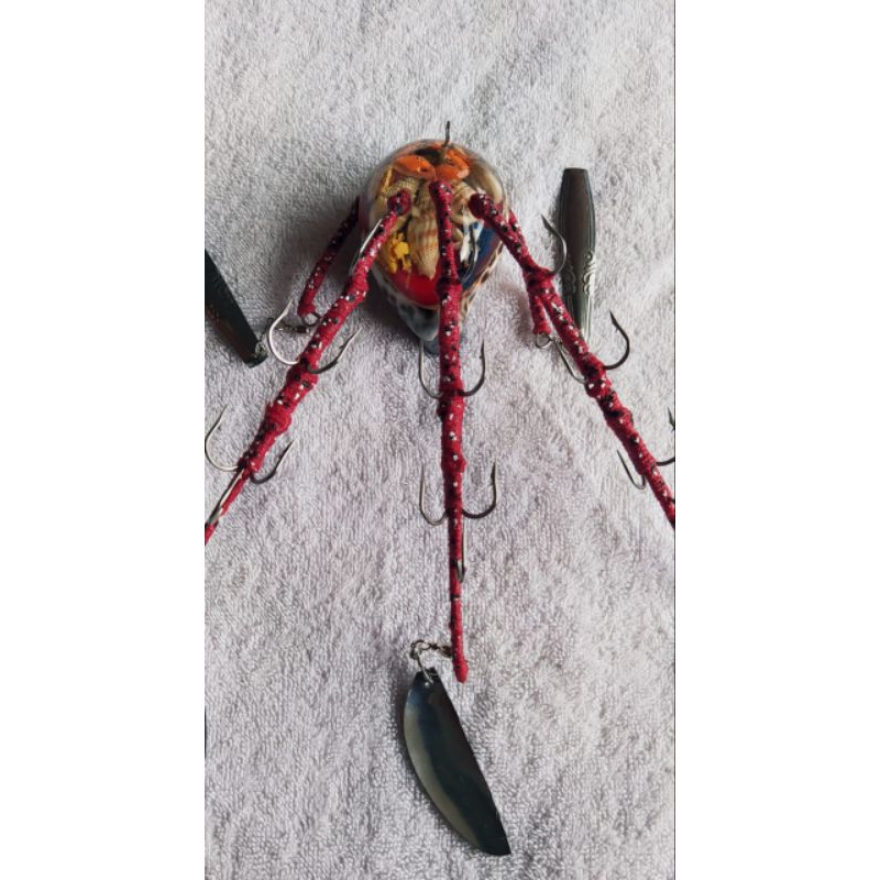 Umpan Gurita Kepiting Dalam Keong Merah