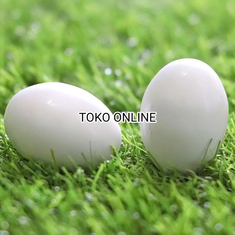 TELUR PALSU MERPATI DORO burung merpati berat sama dengan asli