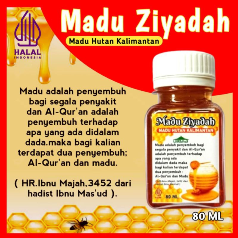 

Madu Hutan Kalimantan Ziyadah 80 gram 100%ASLI