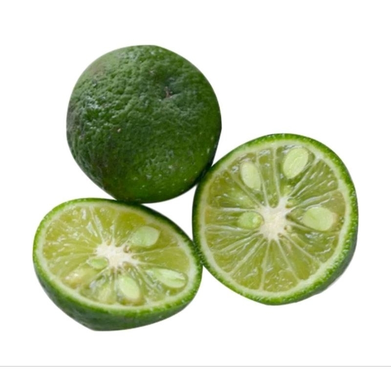 

Jeruk Limau 1ONS / Jeruk Limo / Jamin Segar