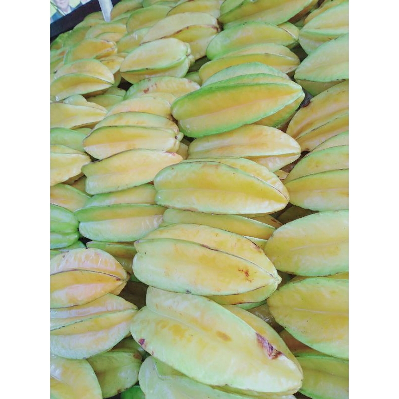 

BUAH BELIMBING BLIMBING BANGKOK