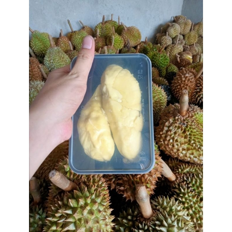 

Durian Kupas Monthong Bali