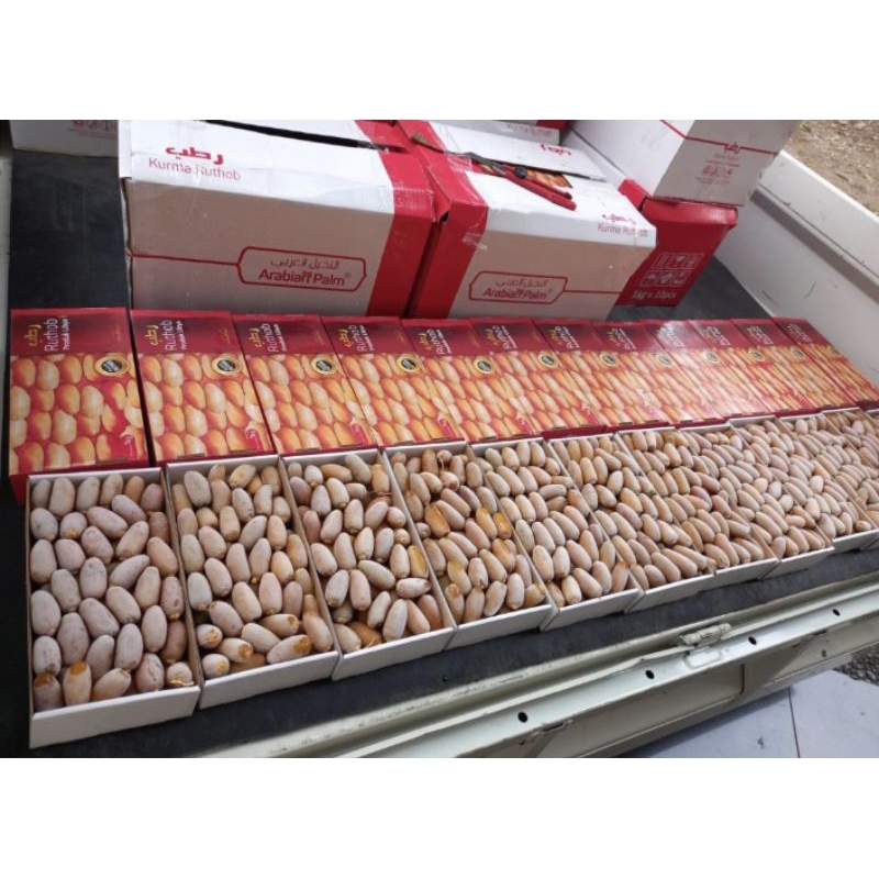 

RUTOB LIBYA 1 KG / RUTHOB PROMO BARU