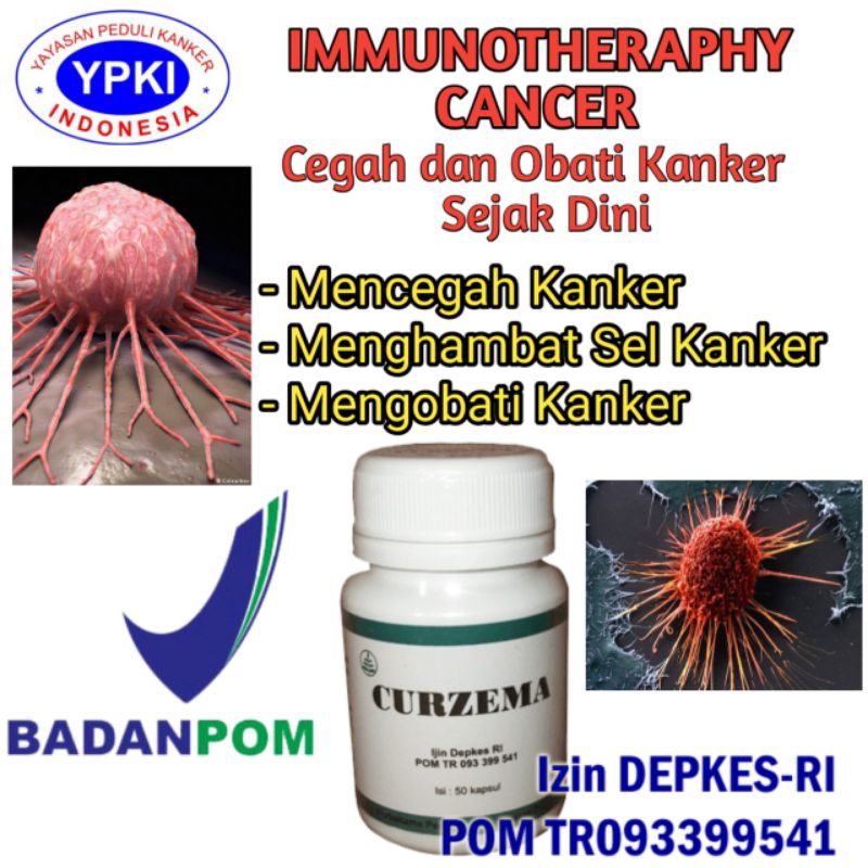 Curzema YPKI Asli Herbal Alami Obat Kista Endometriosis miom Paling Ampuh Di Apotik