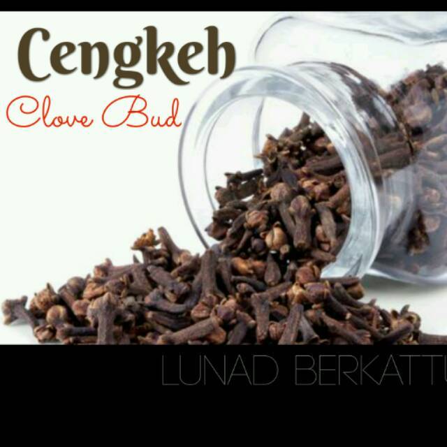 

Biji Cengkeh Kering - Clove,