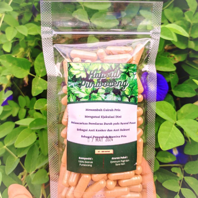 Kapsul Purwoceng isi 100 Murah Herbal Pria