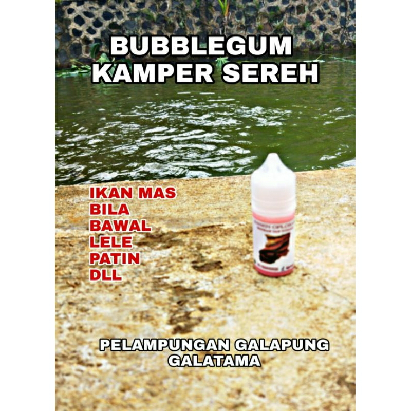 ESSEN MANCING IKAN MAS BUBBLEGUM KAMPER SEREH ESSEN OPLOSAN IKAN BALAP ESSEN OPLOSAN IKAN RAME