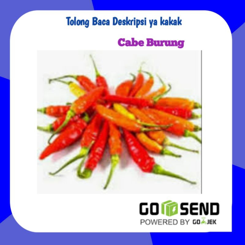 

Cabe Buruh Fresh 100gram - Pasar Sayur Segar Palembang