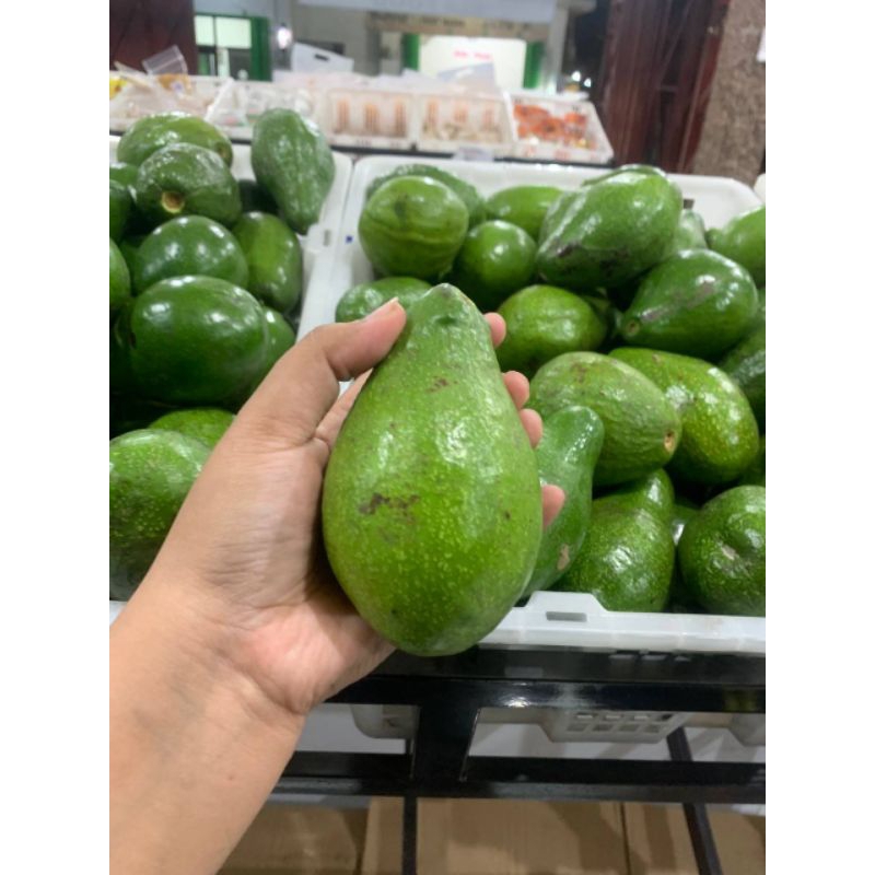 

ALPUKAT || FRESH || HEALTY