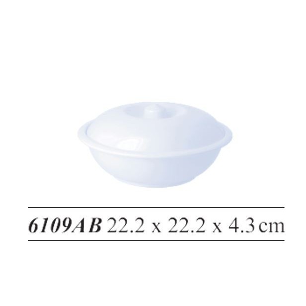 Basi Tutup / Mangkok Tutup Melamin / Hoover 6109AB