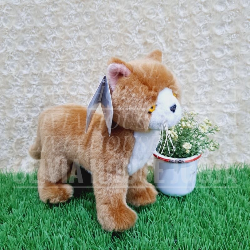 Boneka Kucing Coklat STD Boneka Kucing Mata Kuninh Boneka Brown Cat