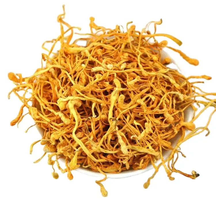 

Bunga Cordyceps Militaris Jamur / Flower Jin Chong Cao Hua 金蟲草花 50gr
