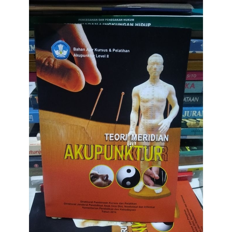 

Teori Meridian Akupunktur