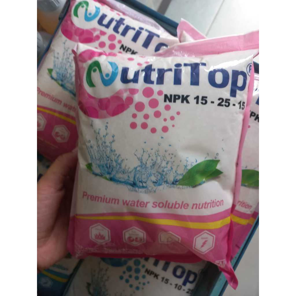 Termurah Pupuk Bunga Dan Buah Nutritop Npk Profesional 15-25-151Kg