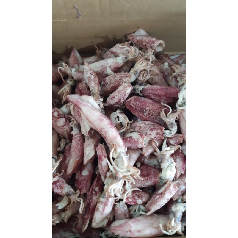 

Cumi Asin 250gr