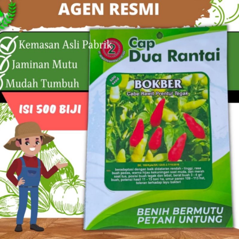 Benih cabe Rawit Setan Pentul BOKBER bibit Cabe Rawit Tegak Rawit Hijau Tegak BOKBER 500