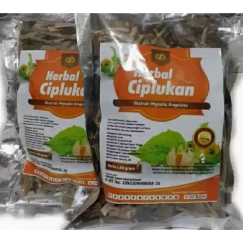 

Teh seduh daun ciplukan//Teh seduh daun ciplukan 50 gram