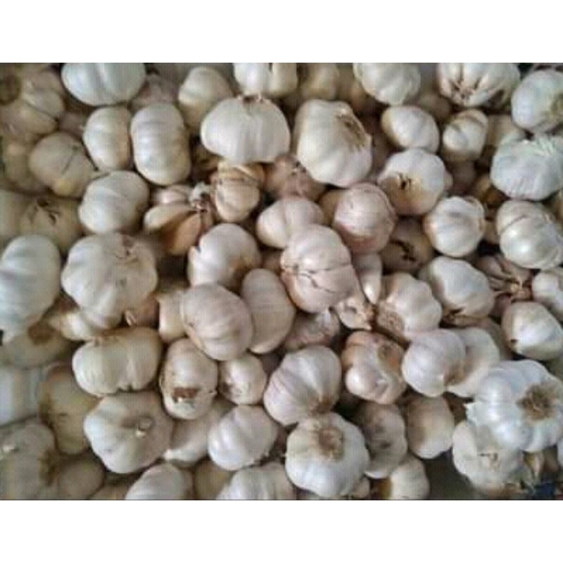 

bawang putih 500 gr