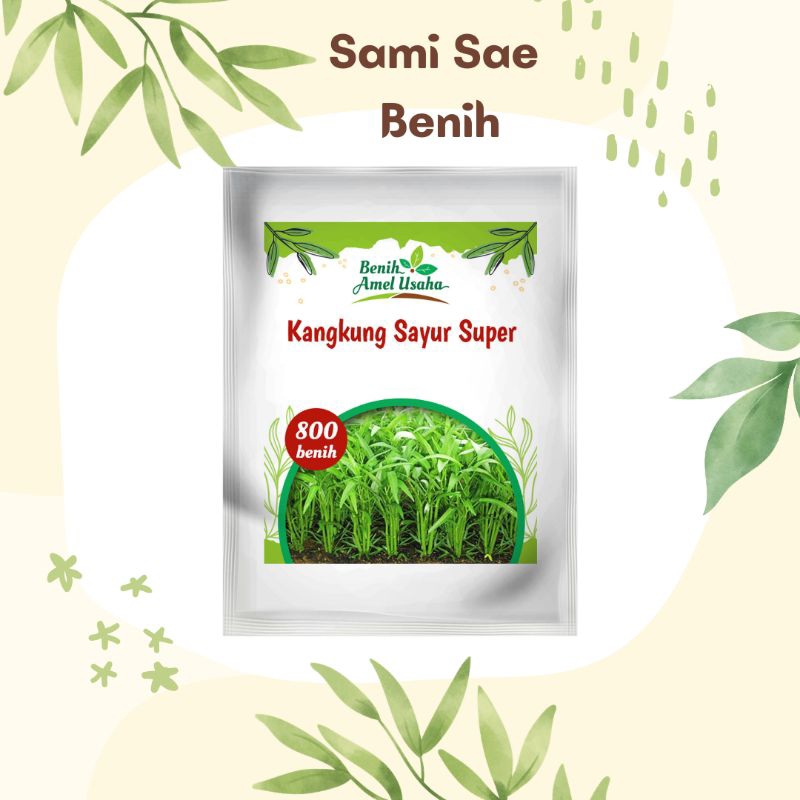 Kangkung sayur 800 benih / benih kangkung sayur super cepat tumbuh / benih kangkung pilihan