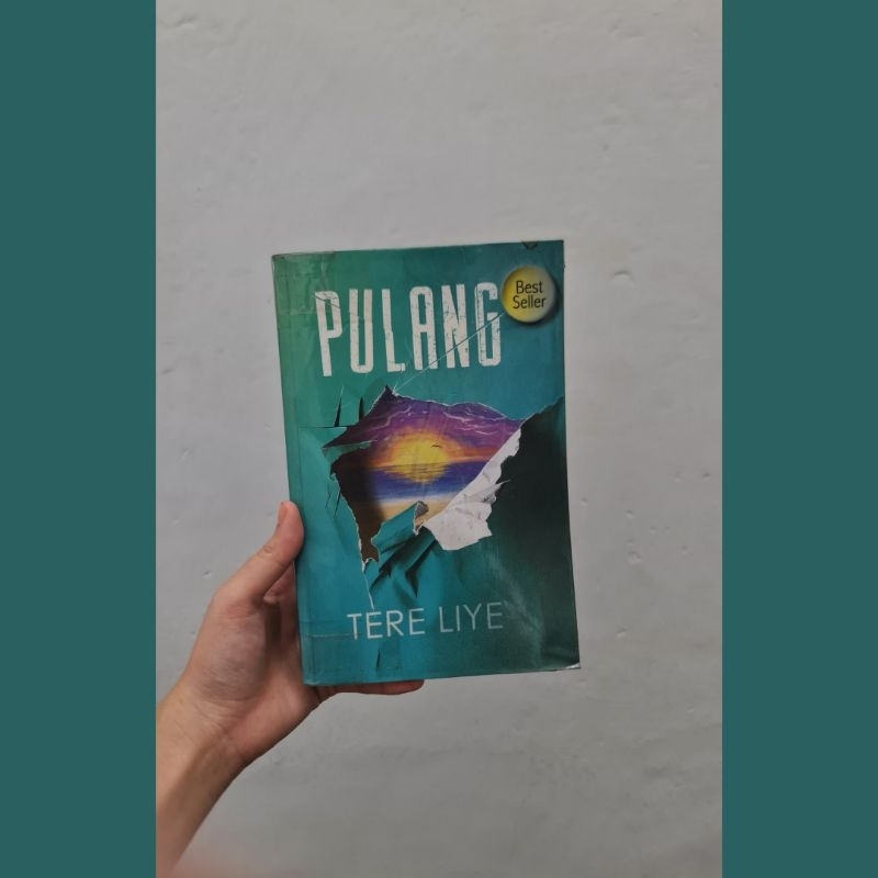 (PRELOVED) buku novel "Pulang" by Tere Liye