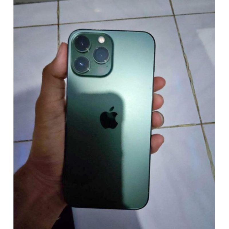 13 PRO MAX 256GB Beacukai