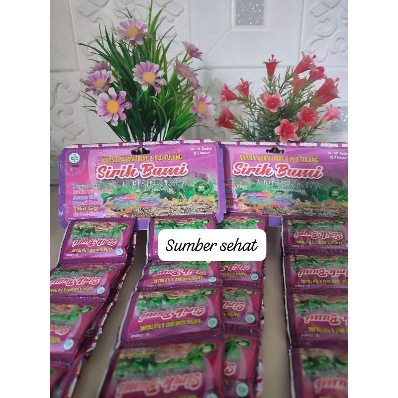 

Kapsul Pegal Linu Dan Asam Urat Sirih Bumi Original Produk