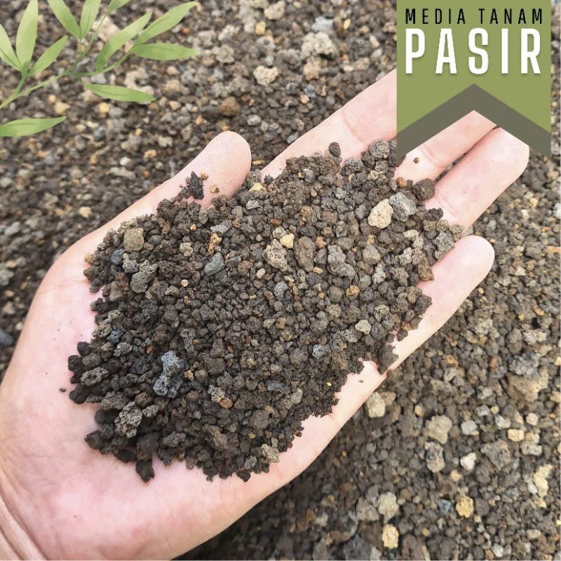 6.500 gr ( 6,5 kg kemasan karung ) Media tanam Batu Pasir Malang untuk kaktus sukulen tanaman hias