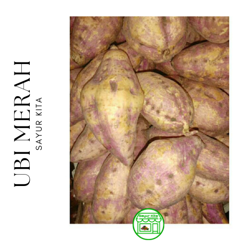 

Ubi Merah / Red Sweet Potato 500 gram