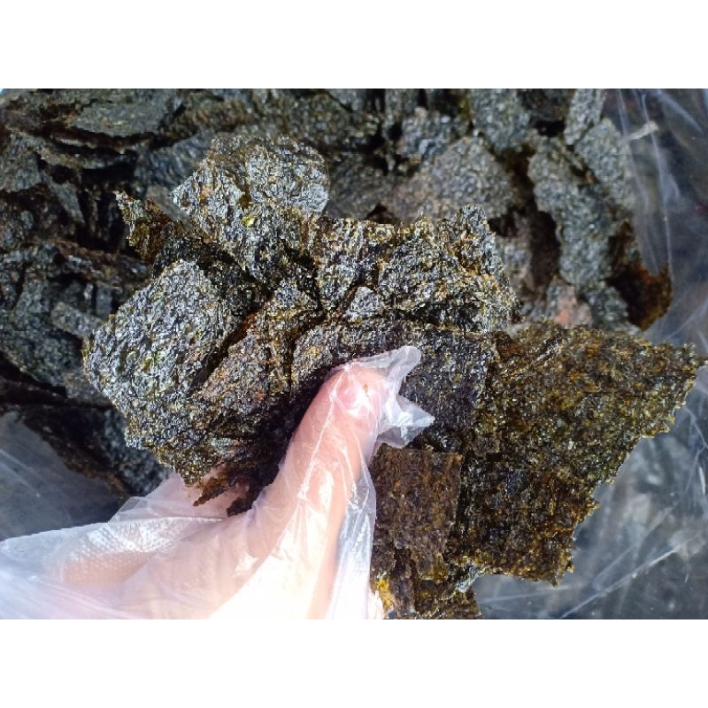 

NORI RUMPUT LAUT BOX 2.000ML REMAHAN