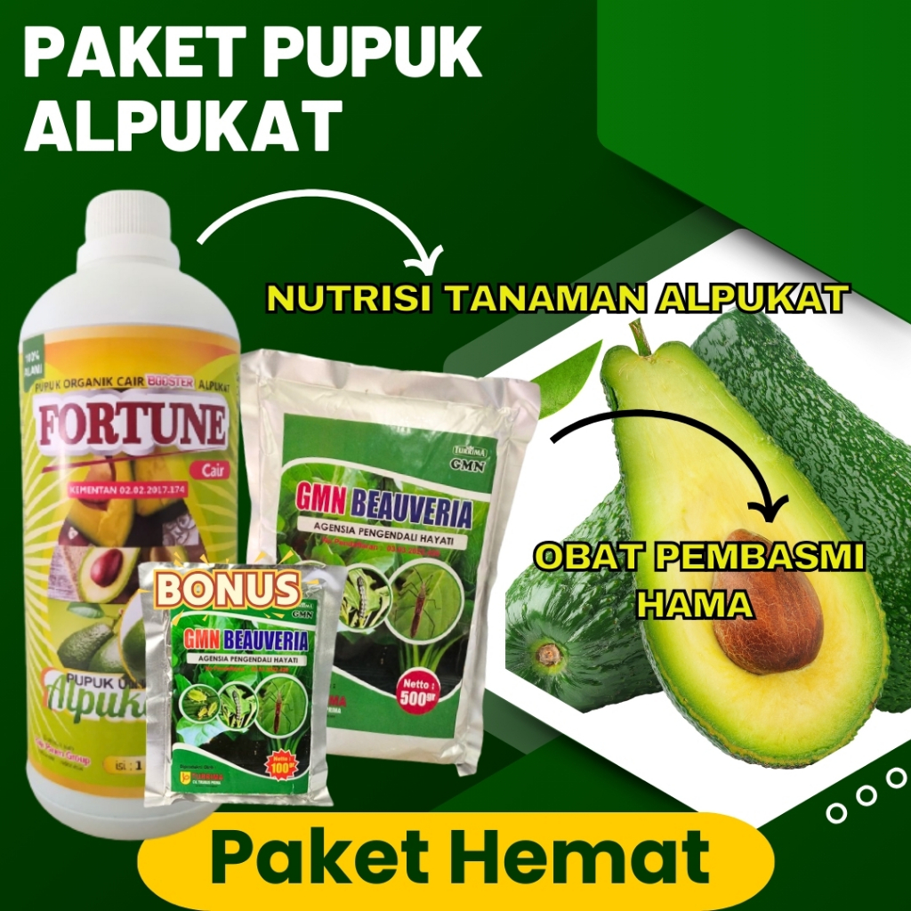 Pupuk Alpukat Anti Rontok, Obat Pembasmi Hama Daun Alpukat