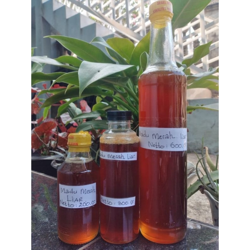 

Madu Murni Asli 100% Tanpa Campuran Madu odeng Untuk kesehatan